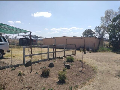 Farm For Sale In Grasslands, Bloemfontein