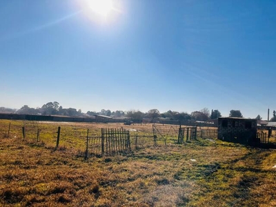 Farm For Sale In Sundra Ah, Delmas