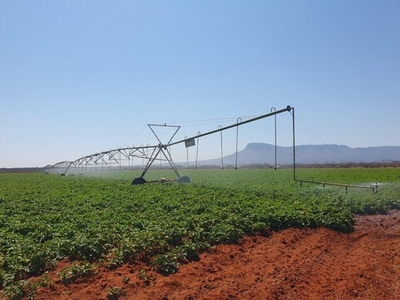 Farm For Sale In Vivo, Limpopo