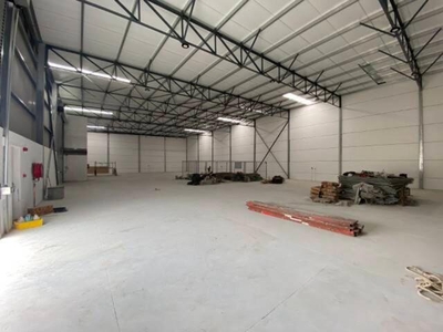 Industrial Property For Rent In Stikland Industrial, Bellville