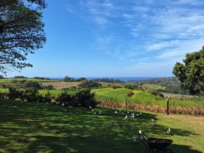 Farm For Sale In Umzumbe, Kwazulu Natal