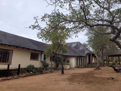 Commercial Property For Sale In Ndlovumzi, Hoedspruit