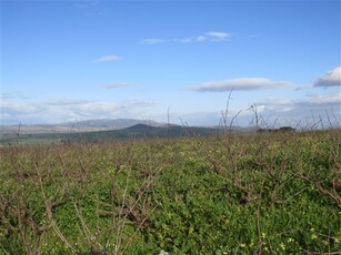 235 ha Farm in Malmesbury