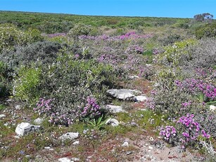 2.8 ha Farm in Jacobsbaai