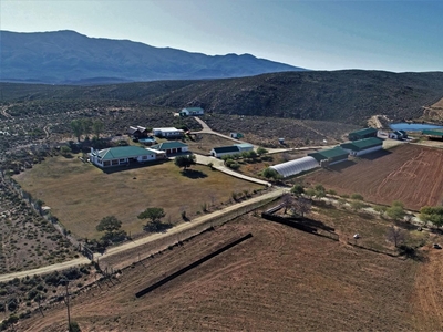 Farm For Sale in Willowmore