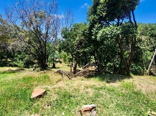 1.1 ha Land available in Cashan