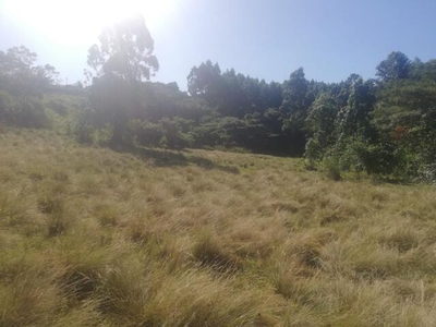 Lot For Sale In Mthwalume, Umzinto
