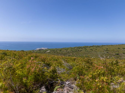 Ocean, Lilly Pond and Fynbos – Picture Perfect in Every Way