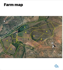 Farm For Sale In Greytown, Kwazulu Natal