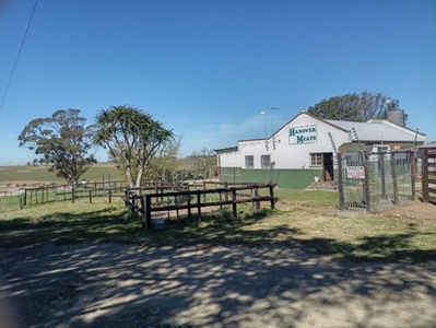 Farm For Sale In Hanover, King Williams Town