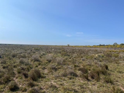 Lot For Sale In Port Elizabeth Rural, Port Elizabeth