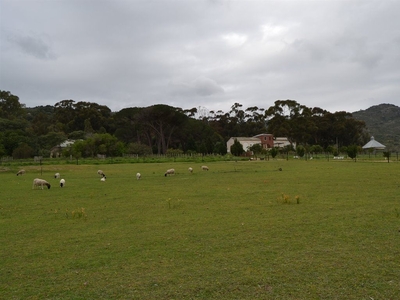 33Ha Farm For Sale in Paarl Central