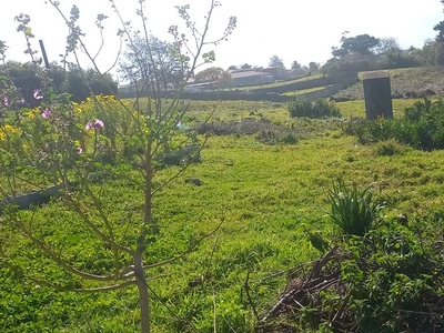 4,105m² Vacant Land For Sale in Pacaltsdorp