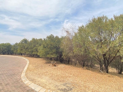 4,175m² Vacant Land For Sale in Xanadu Eco Park