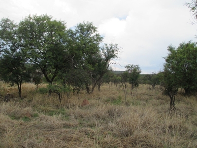 7,951m² Vacant Land For Sale in Leeuwfontein Estate