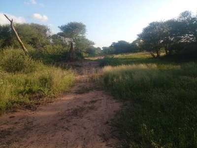 Farm For Sale In Thabazimbi, Limpopo