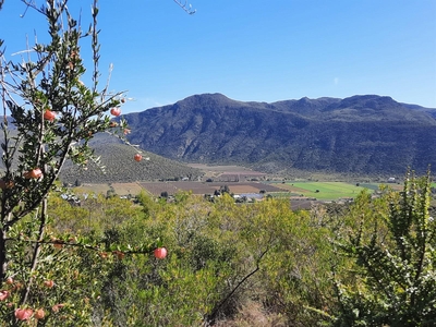 Small Holding For Sale in Oudtshoorn Rural