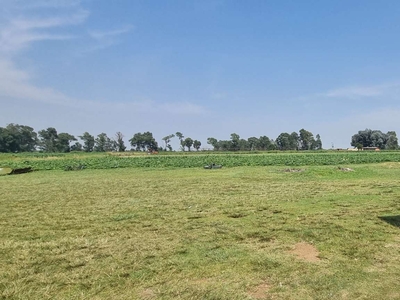 Farm For Sale in SHANGRILA A H