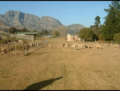 farm property for sale in george rural