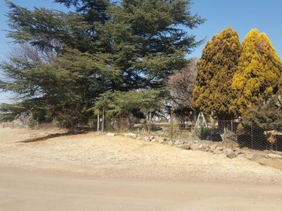 Farm For Sale In Amersfoort, Mpumalanga