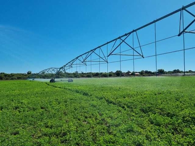 Farm For Sale In Barkly West Rural, Barkly West