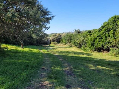 Lot For Sale In Cove Rock, East London