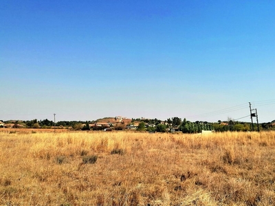 20,000m² Vacant Land Residential in Blue Saddle Ranches For Sale