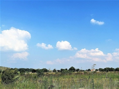 21,731m² Vacant Land Residential in Blue Saddle Ranches For Sale