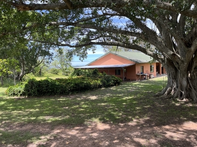 Farm For Sale in Port Alfred Central