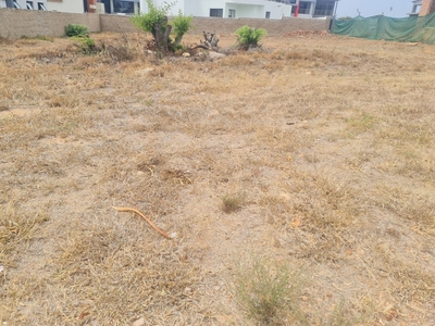 Vacant Land For Sale in Bendor