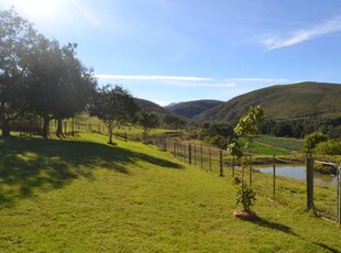 Farm 13 km from Hartenbos