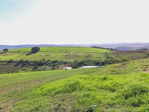 473.8 ha Farm in East London Rural