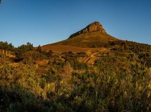 1,004m² Vacant Land For Sale in Stellenbosch Farms