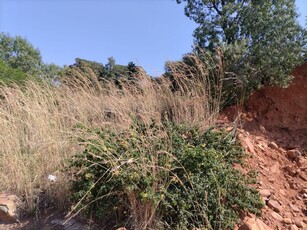 1,397m² Vacant Land For Sale in Cashan