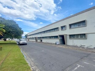 339m² Building To Let in Blackheath Industrial