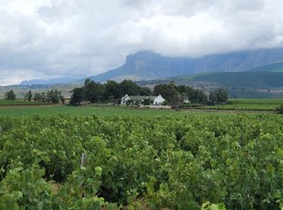 Paarl wine farm for sale