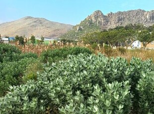 417m² Vacant Land For Sale in Pringle Bay