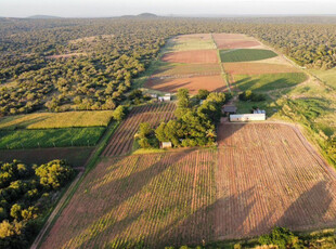 Farm For Sale in Beestekraal