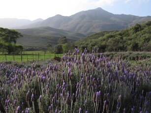 Farm For Sale in Oudtshoorn Rural