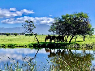 FOR SALE: EXPANSIVE FARM PROPERTY IN CAPE TOWN