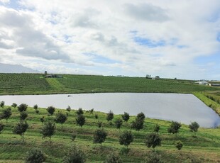 Macadamia and Avocado farm for sale