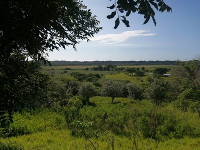 1539 m² Land available in Mtunzini