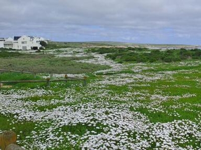 Paternoster Western Cape N/A