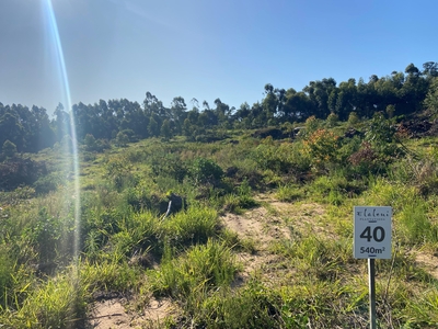 Vacant Land For Sale in Salt Rock