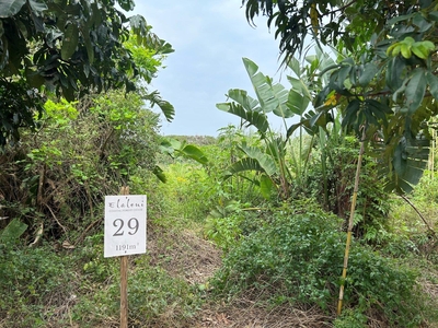 Vacant land / plot for sale in Sheffield Beach - 29 Bee-eater, Elaleni Coastal Forest Estate