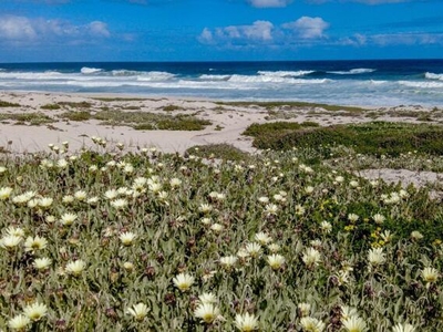 Yzerfontein Western Cape N/A