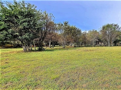 10,000m² Vacant Land Residential in Blue Saddle Ranches For Sale
