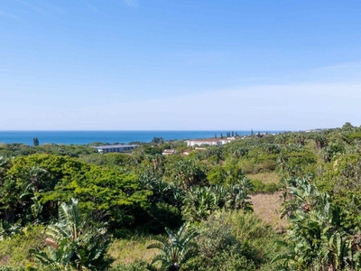 521m² Vacant Land For Sale in Shelly Beach