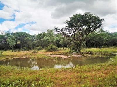 Farm For Sale In Vaalwater, Limpopo