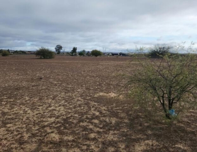 Lot For Sale In Nieuwoudtville, Northern Cape